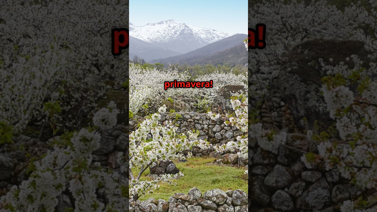 🌸 La Magia del Valle del Jerte en Primavera ✨