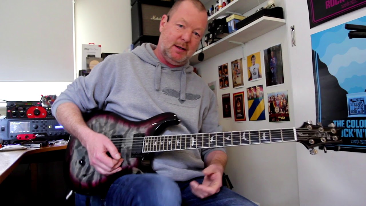 PRS SE Mark Holcomb 2019.