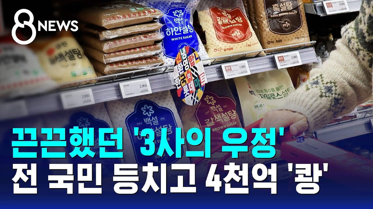 끈끈했던 '3사의 우정'…전 국민 등치고 4천억 '쾅' / SBS 8뉴스