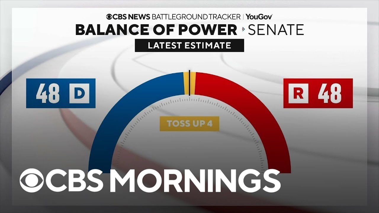 Key states in Senate race, what issues impact voters