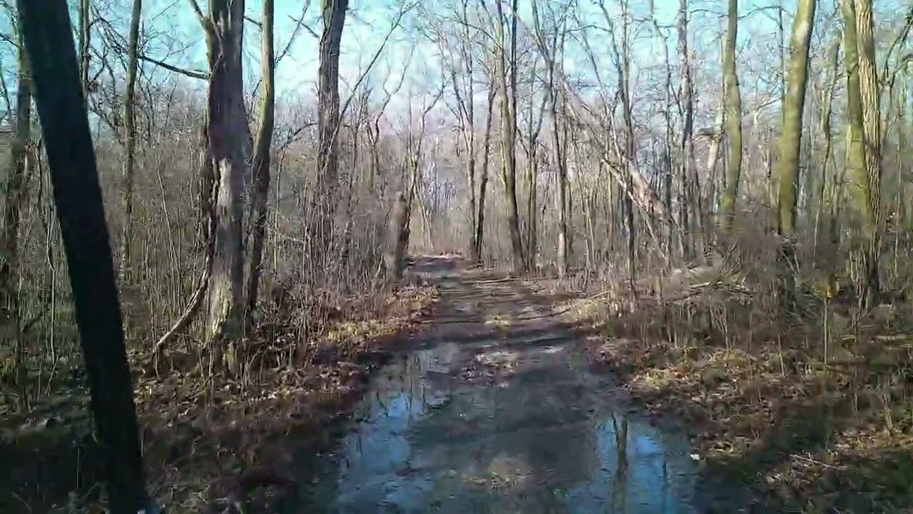 Spring 🌼🌱 like Ride in the woods 
