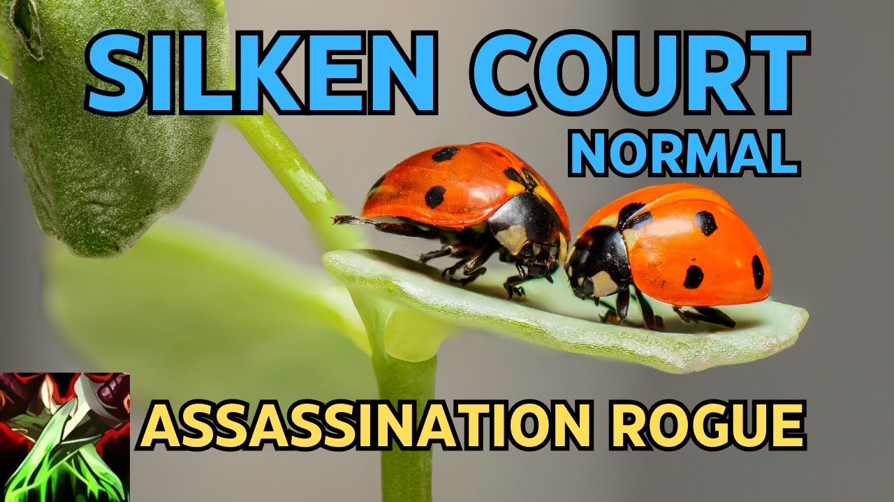 Silken Court Normal | Assassination Rogue