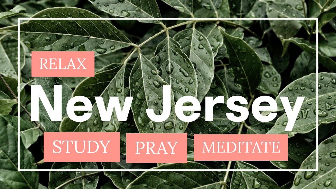 🖼 New Jersey (nature, leaves, trees, deer) | Living Wallpaper | pray, study, meditate, relax 4K USA