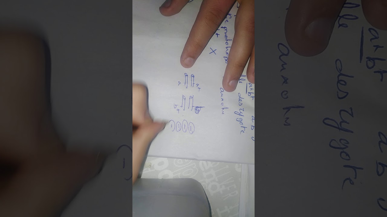 Correction Épreuve de génétique haploide rattrapage 2019