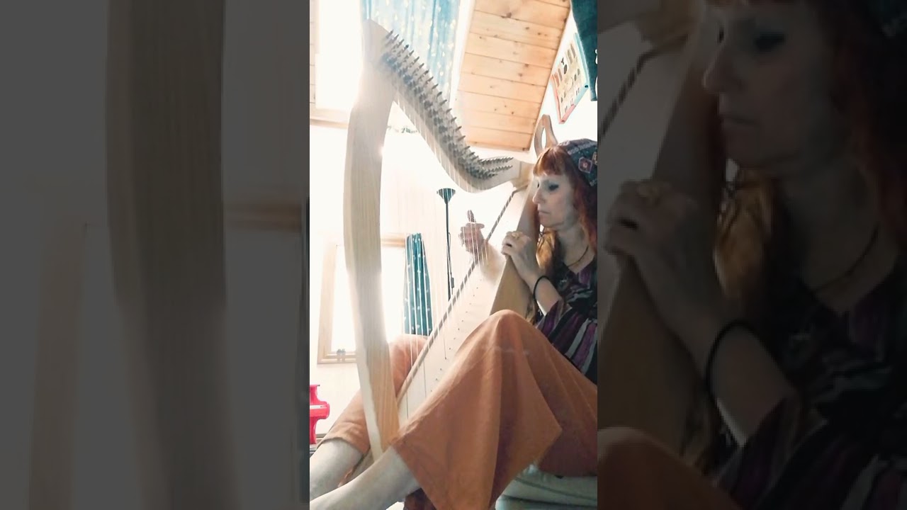 THE BRIAN BORU'S MARCH suonata con Bastet🎼 (Harp cover) #celticharp #arpaceltica #music #emotional