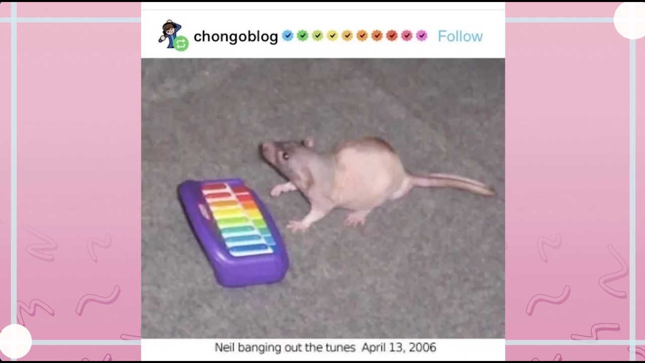 We Tumblr, For Neil!