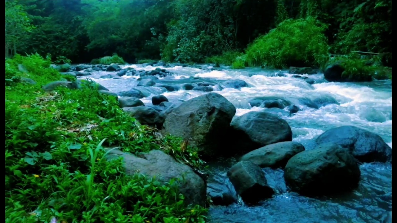 Mountain stream flowing, Forest river stream, Flowing water, white noise for sleeping.
