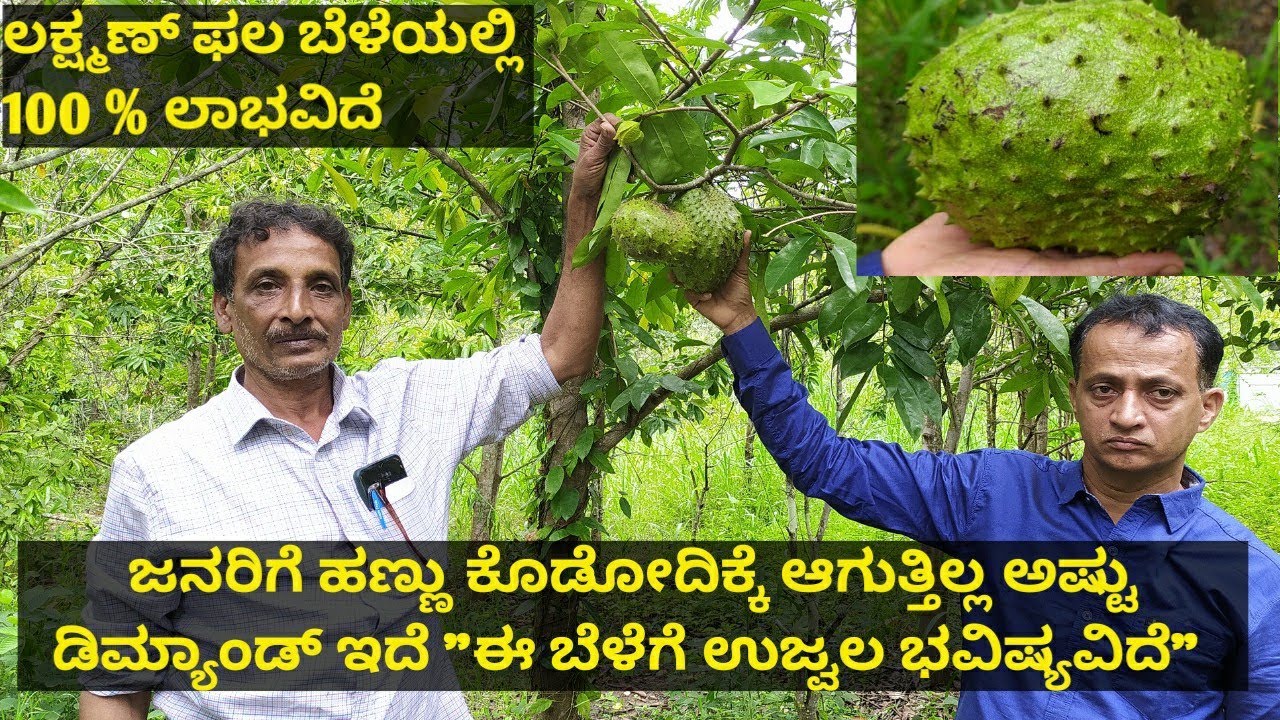 ಒಂದು ಗಿಡದಲ್ಲಿ 5 ಸಾವಿರ ಆದಾಯ ಸಿಗುತ್ತಿದೆ 