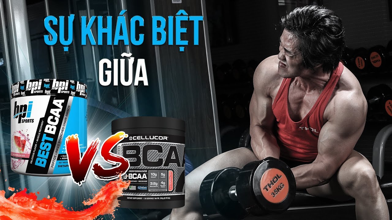 Phân tích và chọn lựa Best BCAA và Cor BCAA - THOL