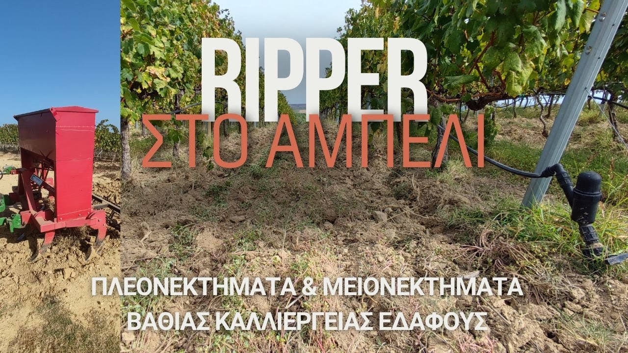 Ripper στο Αμπέλι | Πλεονεκτήματα & Μειονεκτήματα