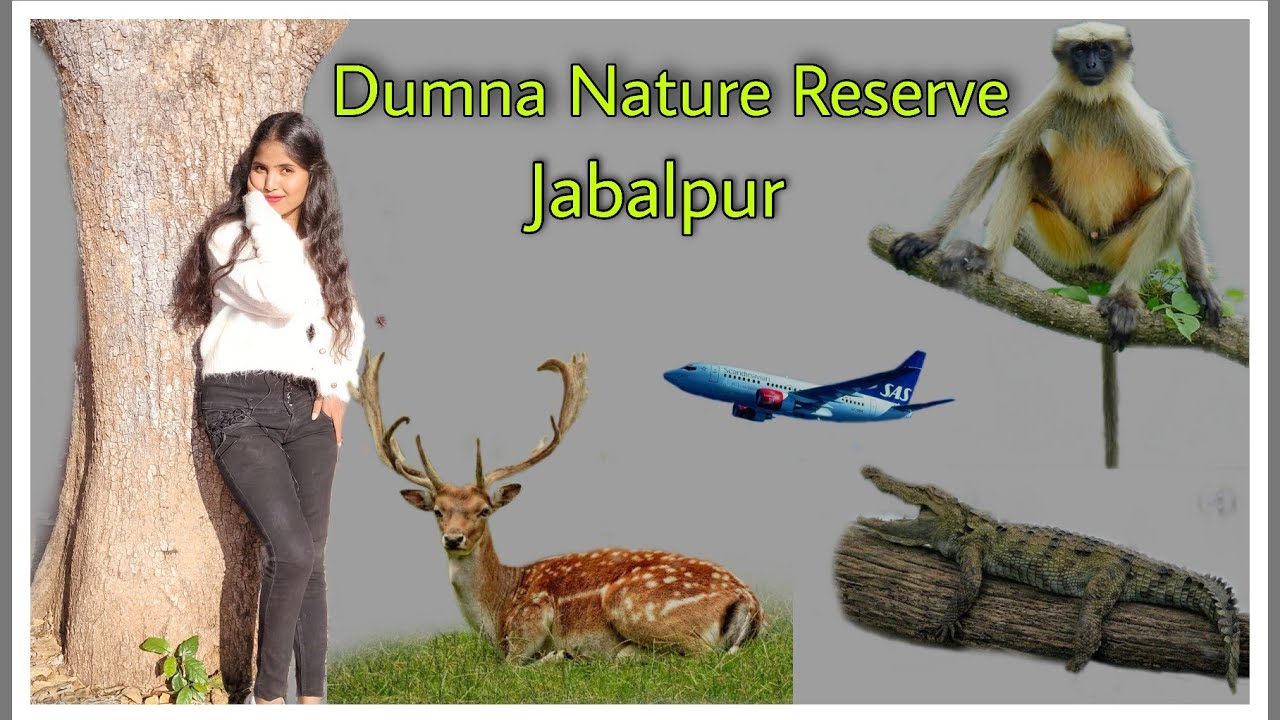 Dumna Nature Reserve Jabalpur/डुमना नेचर रिजर्व जबलपुर/Dumna Airport #SumanThink #sumanyadav