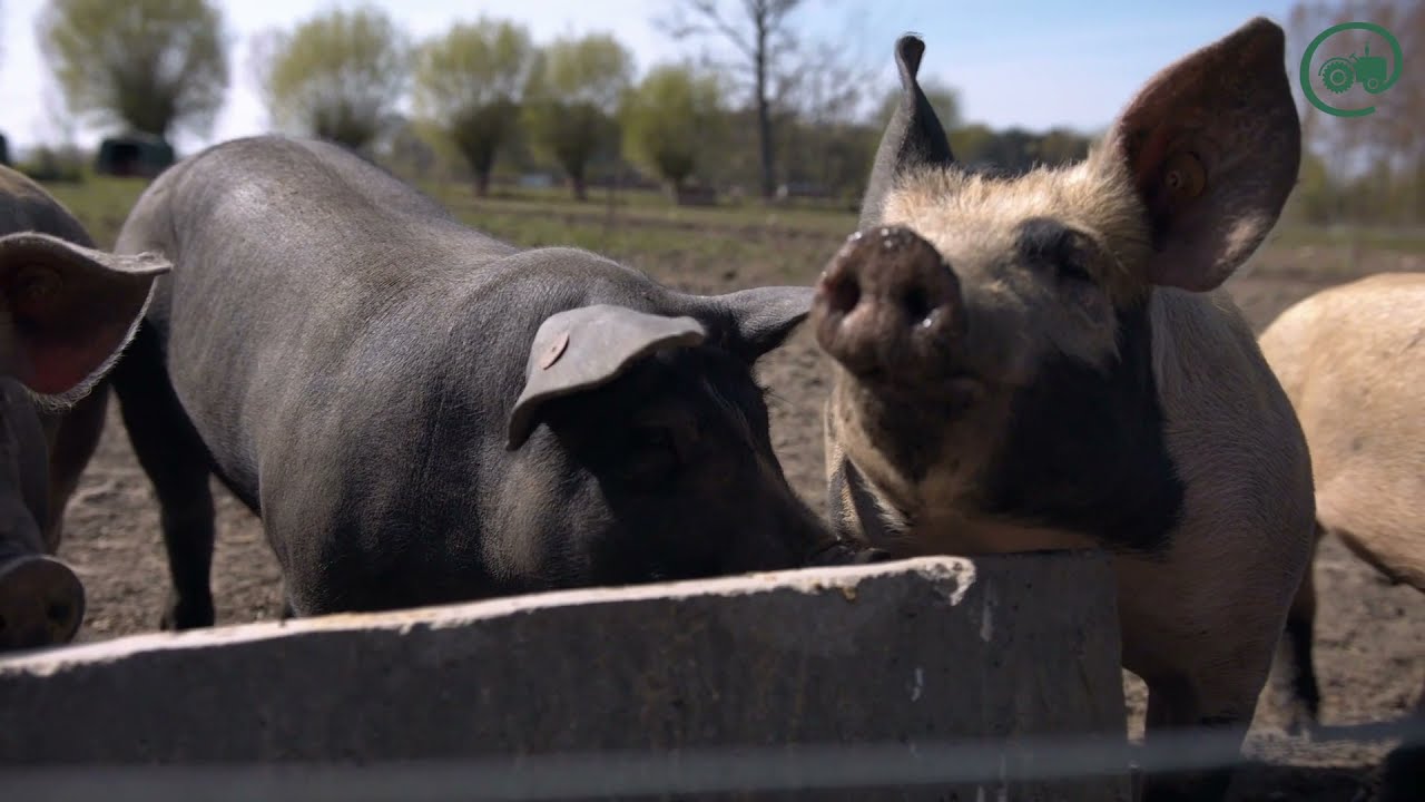 Linked.farm, digital platform cooperative for Farm2Fork (NL)