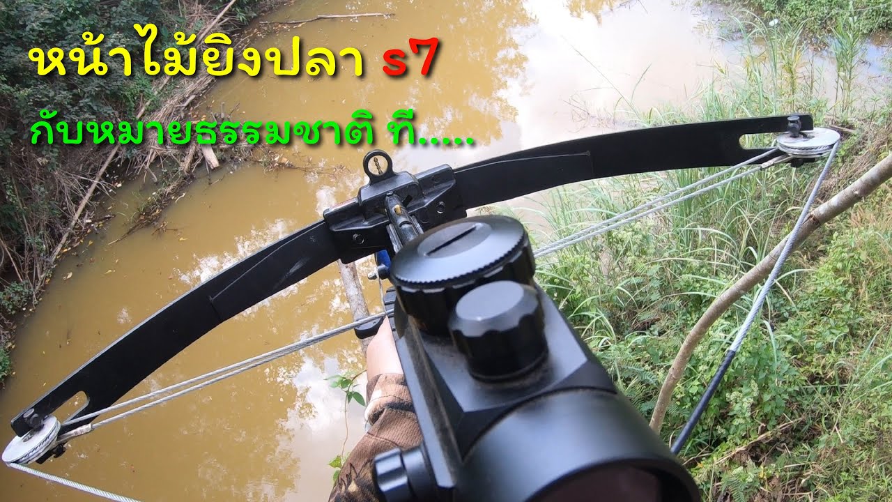 ไปยิงปลาหมายธรรมชาติกับ หน้าไม้ยิงปลา s7 #หน้าไม้ยิงปลา #หน้าไม้  #ยิงปลา