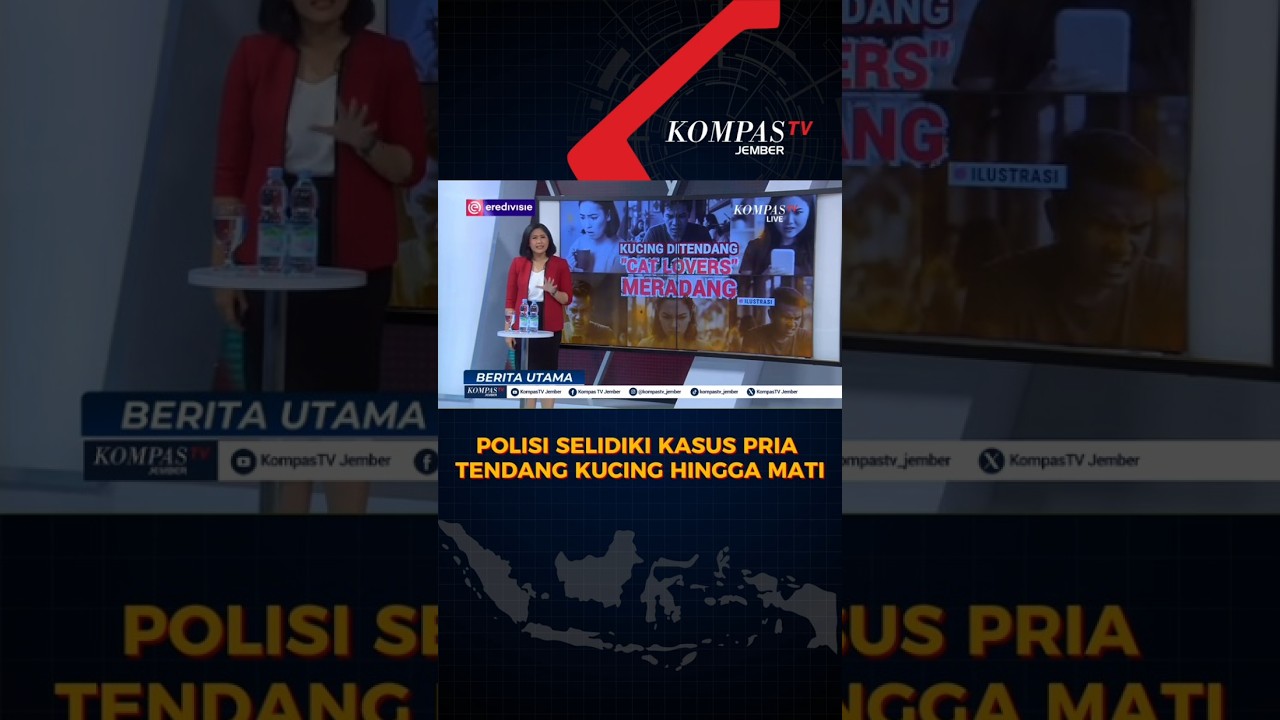Kasus Kekerasan Hewan: Polisi Buru Pria Penendang Kucing hingga Tewas