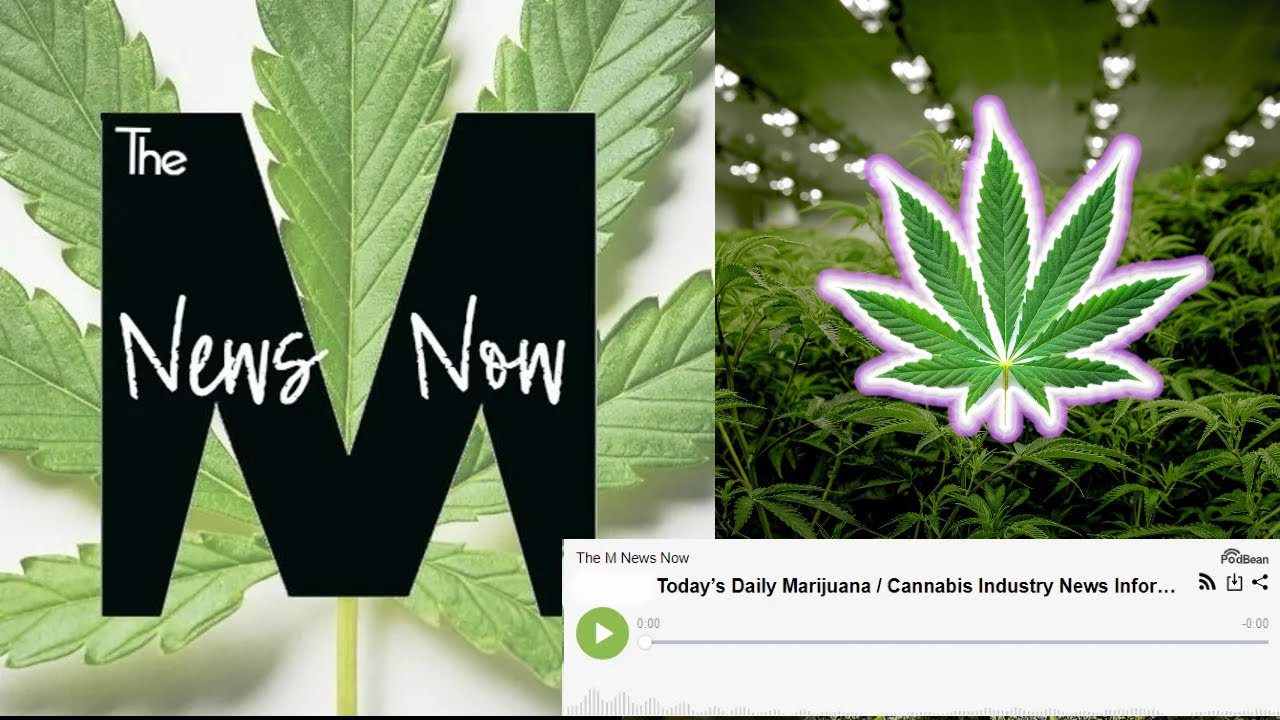 Cannabis Banking Optimism, Georgia hates Weed, RAW Rolling Papers Trouble, Smuggling, Gun Laws, CA