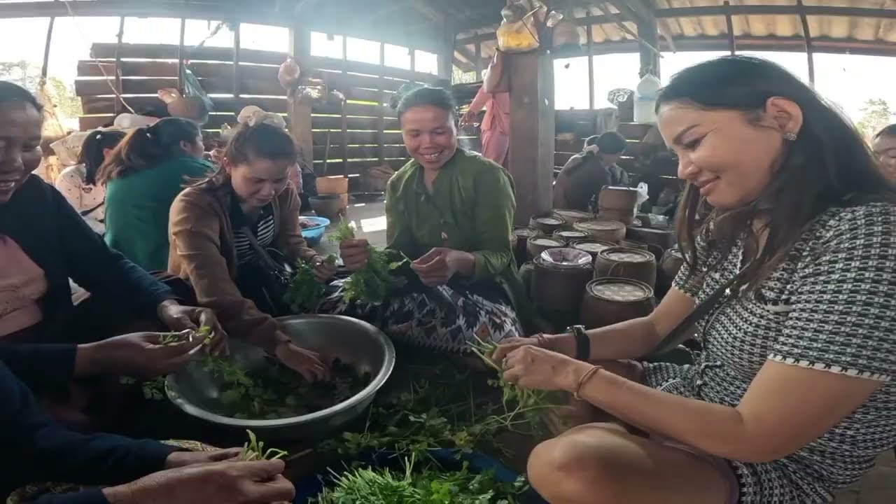 งานดอง