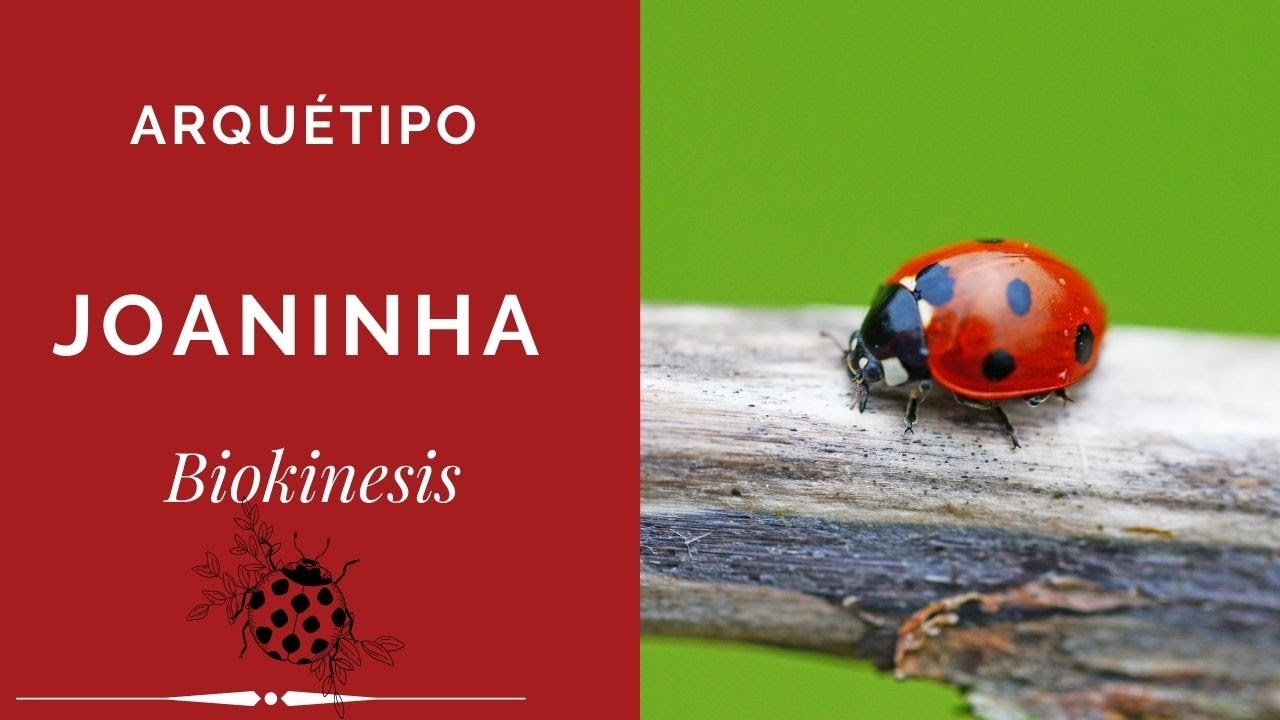 Joaninha
