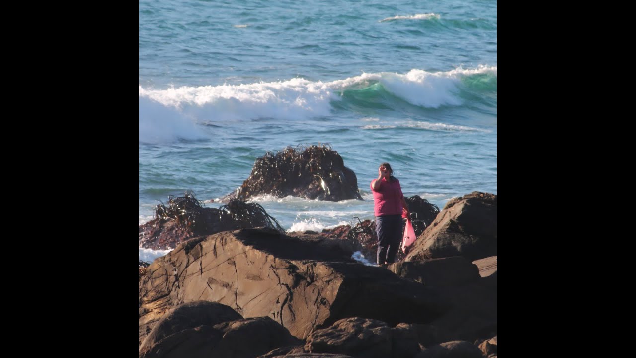 Voces del Mar