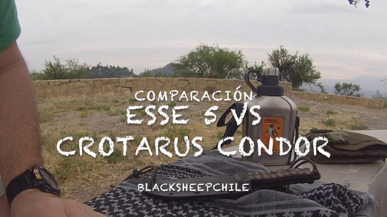 Condor Crotatus VS Esse 5