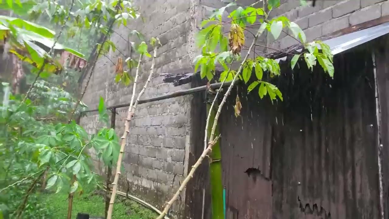 ТЫ ЗАСПИШЬ В ЭТУ ШТОРМУ? ⚡ Сильный дождь и гром в Индонезии 🌧️ Терапия сна
