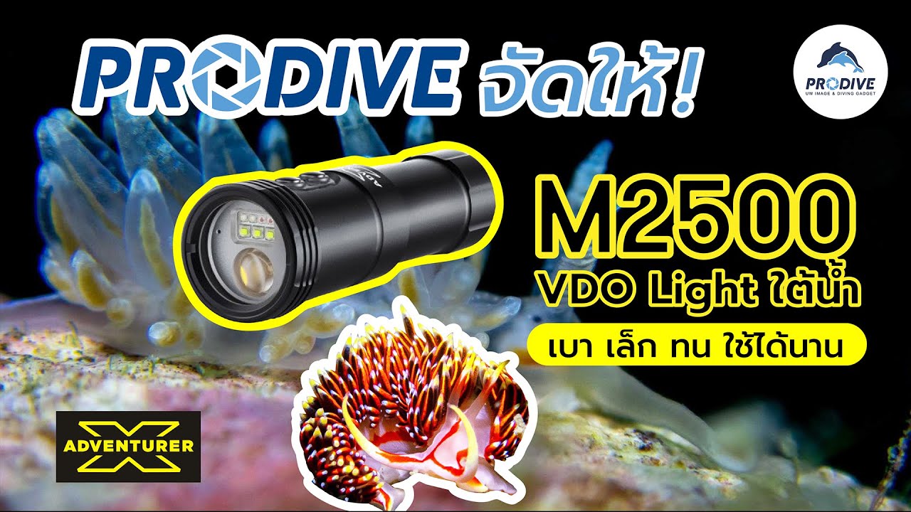 Prodive จัดให้ : ไฟฉาย M2500 VDO Light ใต้น้ำ เบา เล็ก ทน ราคาเบาๆ ใช้ได้นาน