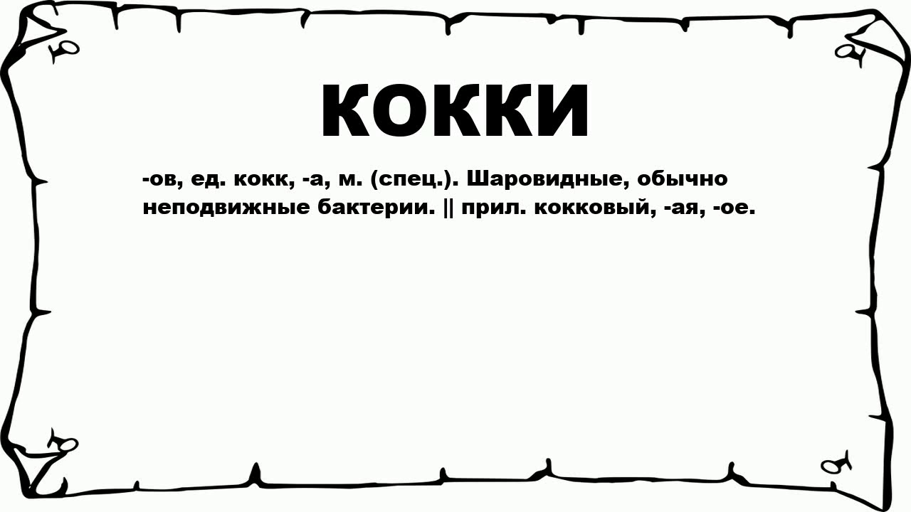 КОККИ - что это такое? значение и описание