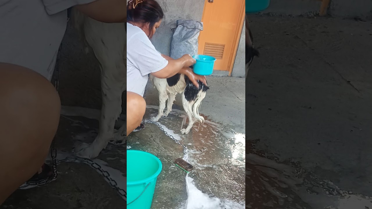 Ligo time with kiko