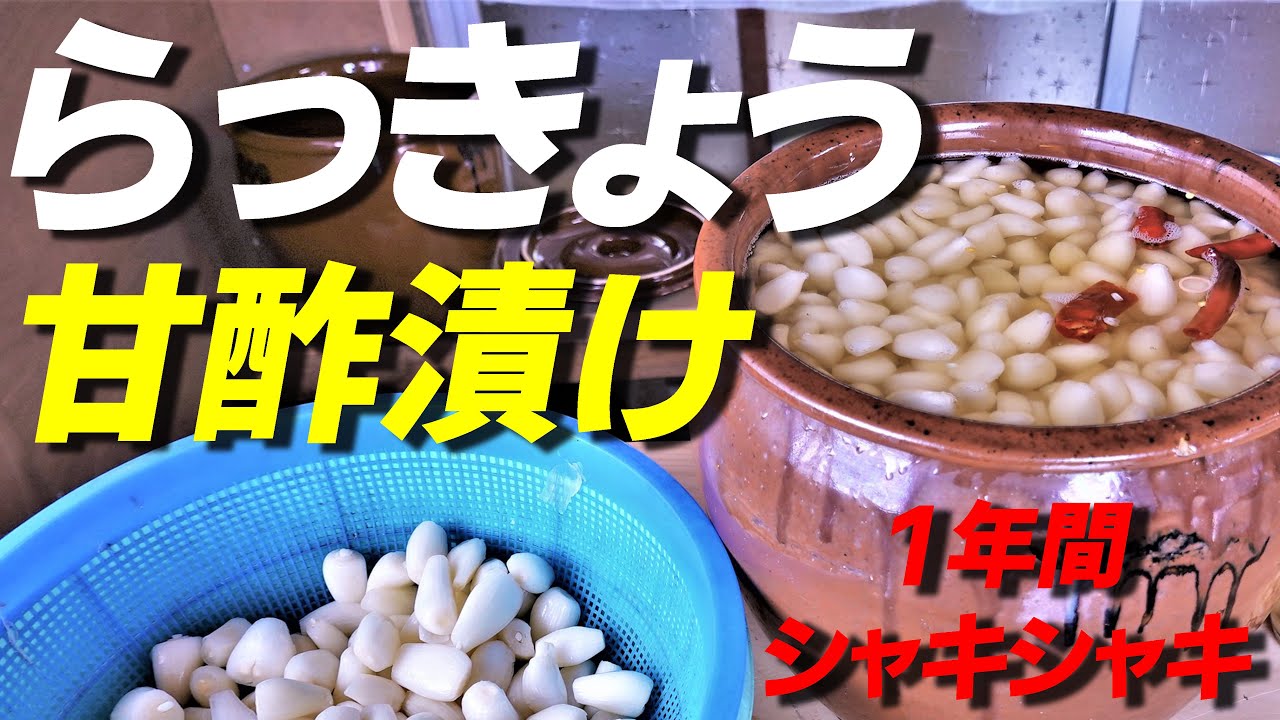 【保存版】らっきょう漬け方｜丁寧な下ごしらえ（下処理）で1年シャキシャキ！