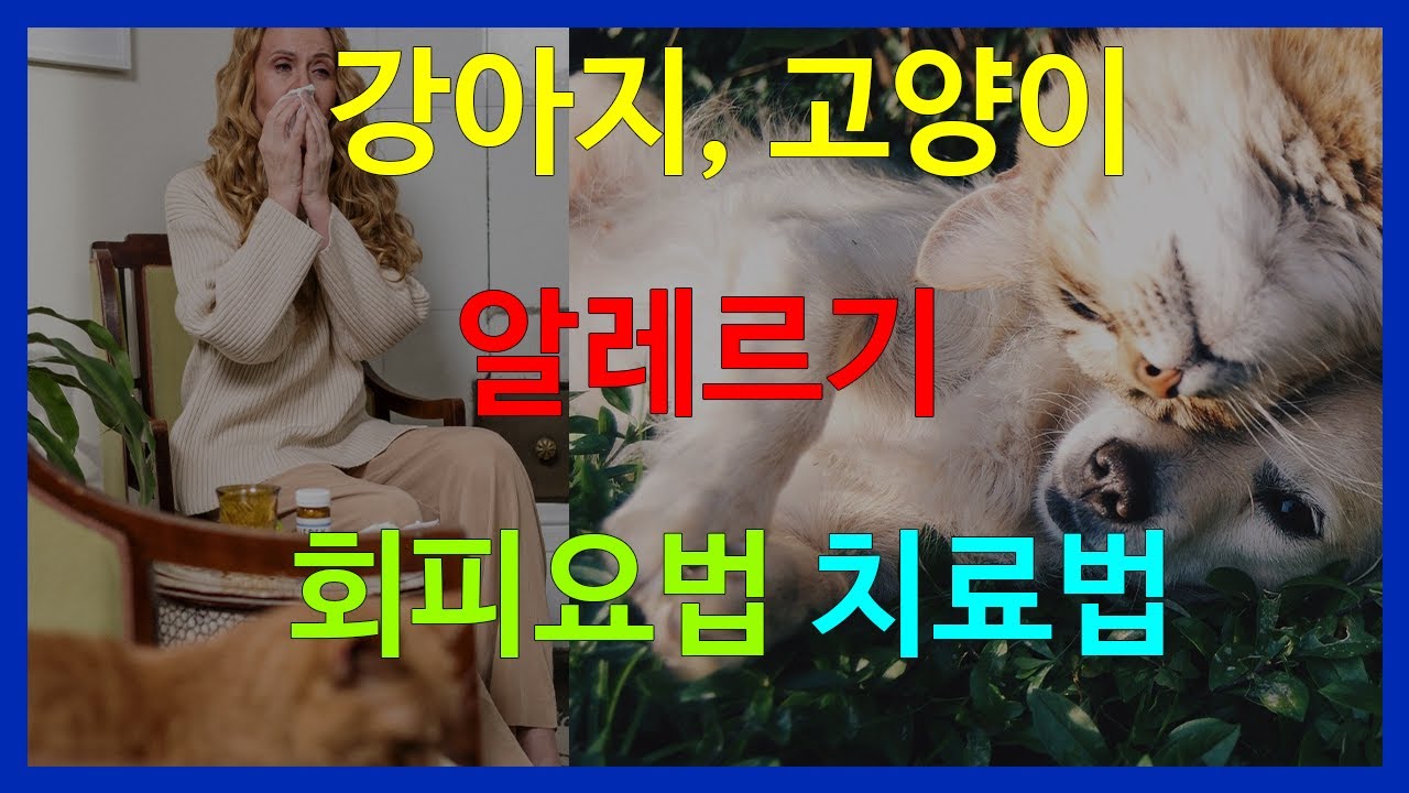 애완동물 알레르기 치료법과 회피요법  | 고양이 알레르기 면역치료  | 강아지(개) 알레르기 면역치료 | 오공작가