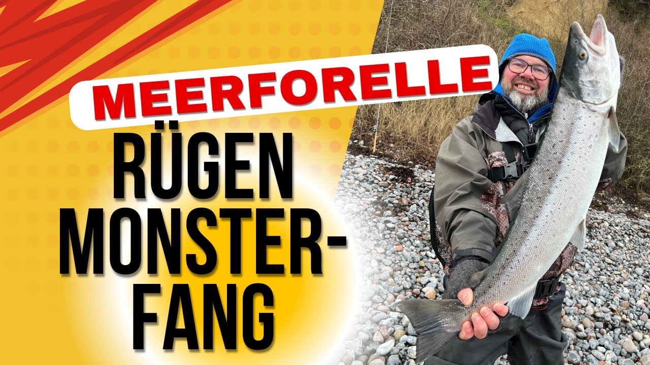MEERFORELLE geknackt! Mein erster Monster-Fang an der Ostsee (Rügen