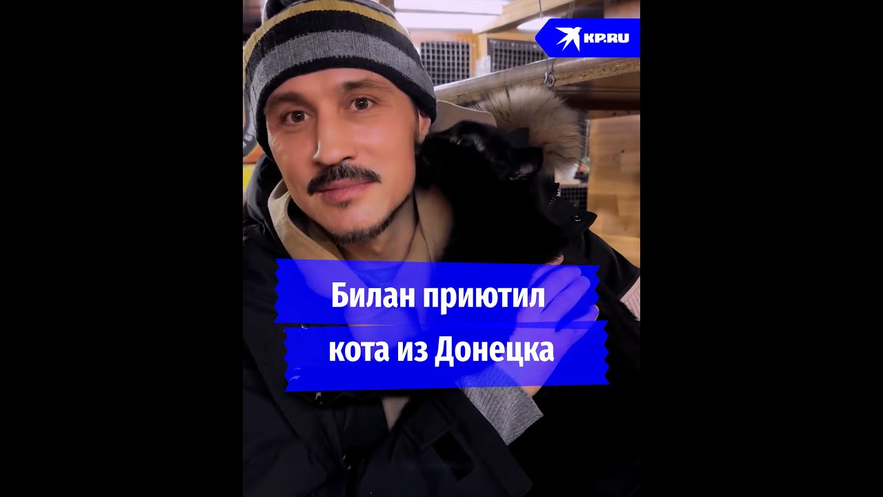 Дима Билан показал, как выбирал кота в донецком приюте