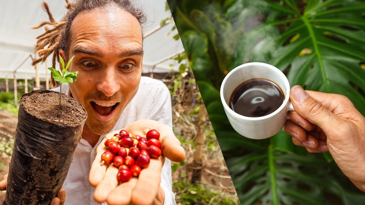 How To Make Coffee From Scratch In Colombia