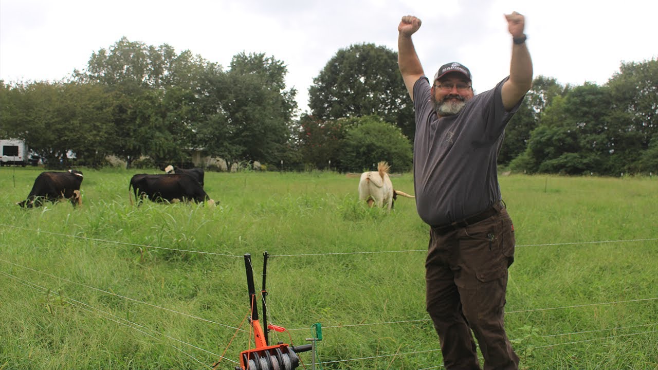 This Will Change How We Raise Cattle | Gallagher Smart Fence Review