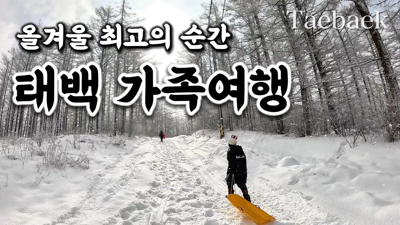 올 겨울 최고의 순간, 강원도 태백 가족여행