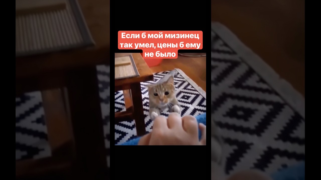 Если б мой мизинец так умел, цены б ему не было