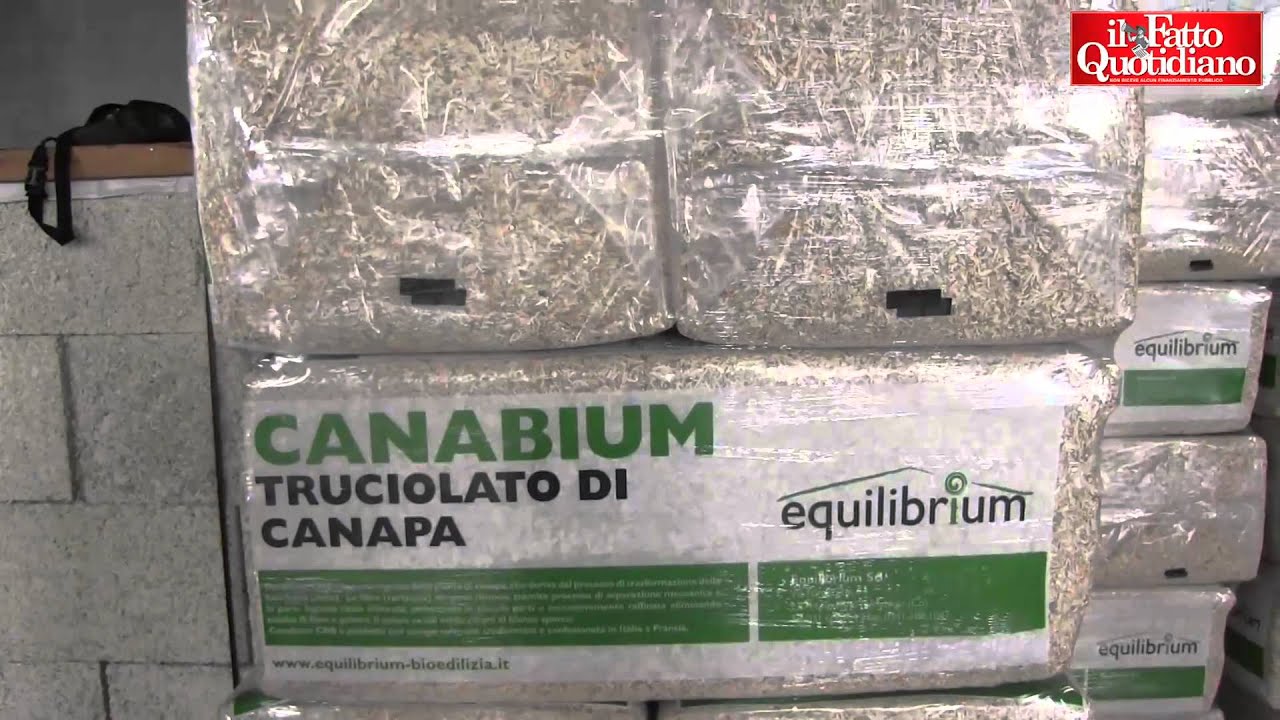 Bio edilizia, le case del futuro? Di canapa. 