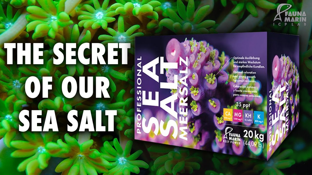 The secret of our salt - THE FAUNA MARIN SEA SALT