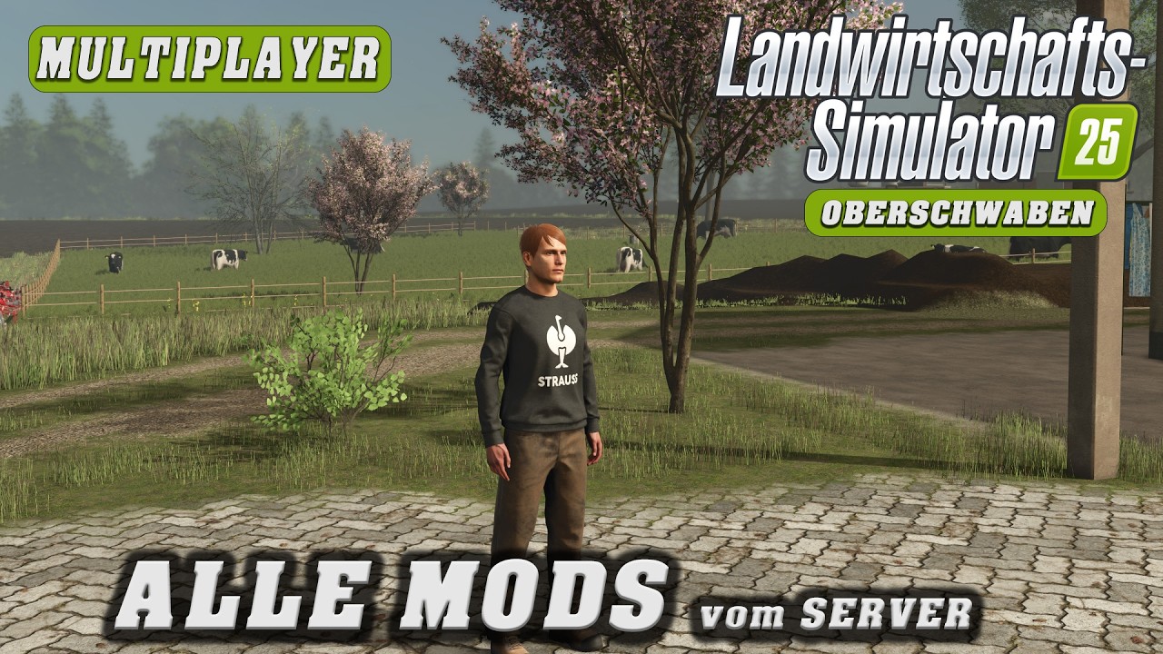LS25 MP Oberschwaben - diese Mods haben wir auf dem Server für mehr Realismus!