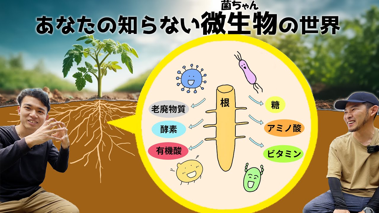 科学的に菌ちゃんを診る【科学的に楽しく有機栽培①】