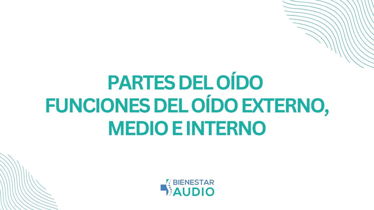 Partes del oído | Funciones del oído externo, medio e interno | BienestarAudio