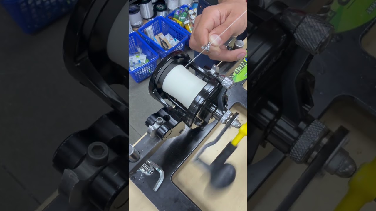 Avet LX4.6-MC #fishingvideo #fishing #fish #sportfishing #avetreels #avet