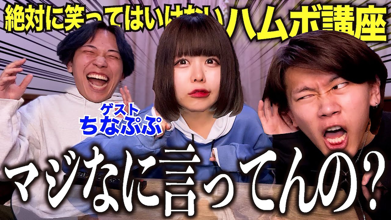 絶対に笑ってはいけないハムボ講座したら耐えきれなくて大爆笑連発したwwwwww 【コラボweek】【ちなぷぷ】