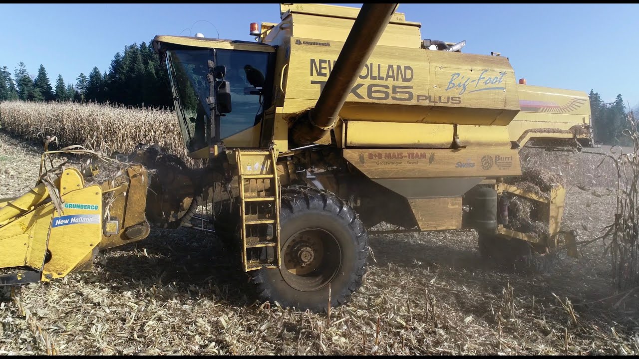 Körnermaisdreschen 🇨🇭🌽🇨🇭 mit New Holland Big Foot ( Burri Maschinenbetrieb )