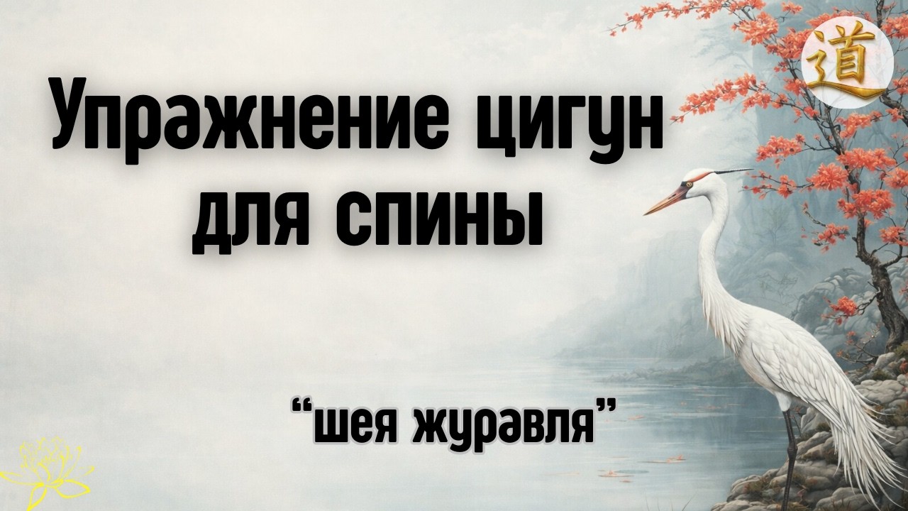 ЦИГУН ПРАКТИКА упражнение для спины