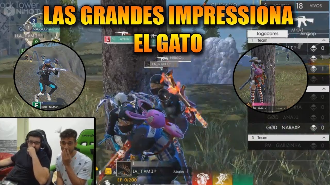 EL GATO FICA IMPRESSIONADO COM LAS GRANDES - LIGA FEMININA DE FREE FIRE - MELHORES CLIPES FREE FIRE