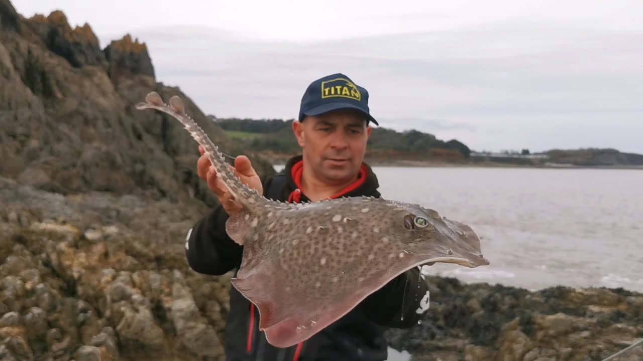 High and Low water session bristol channel