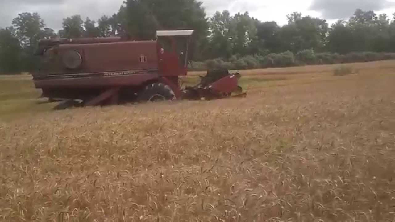 Wheat harvest 2014 with ih 1420 combine part 2