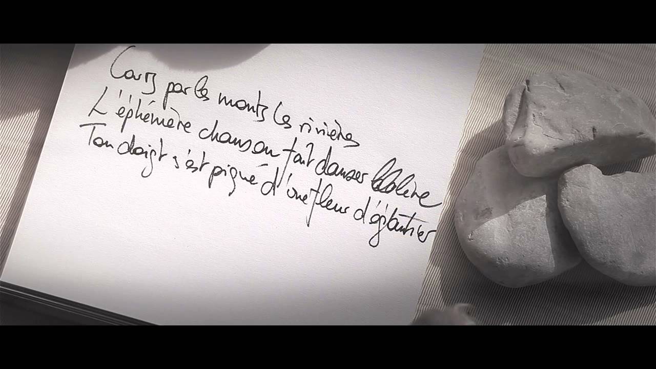 Croque dans l'abricot | Desireless & Operation Of The Sun