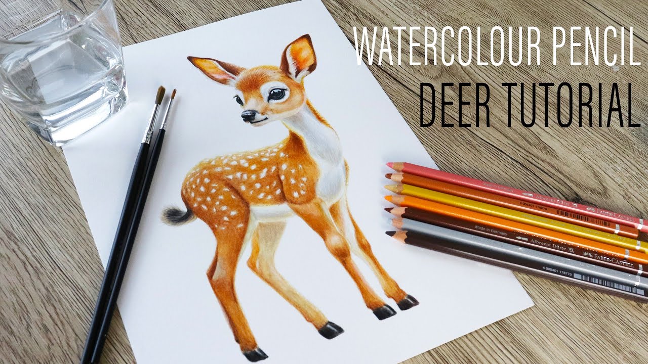 Paint this colorful realistic watercolor pencil deer in this beginner tutorial