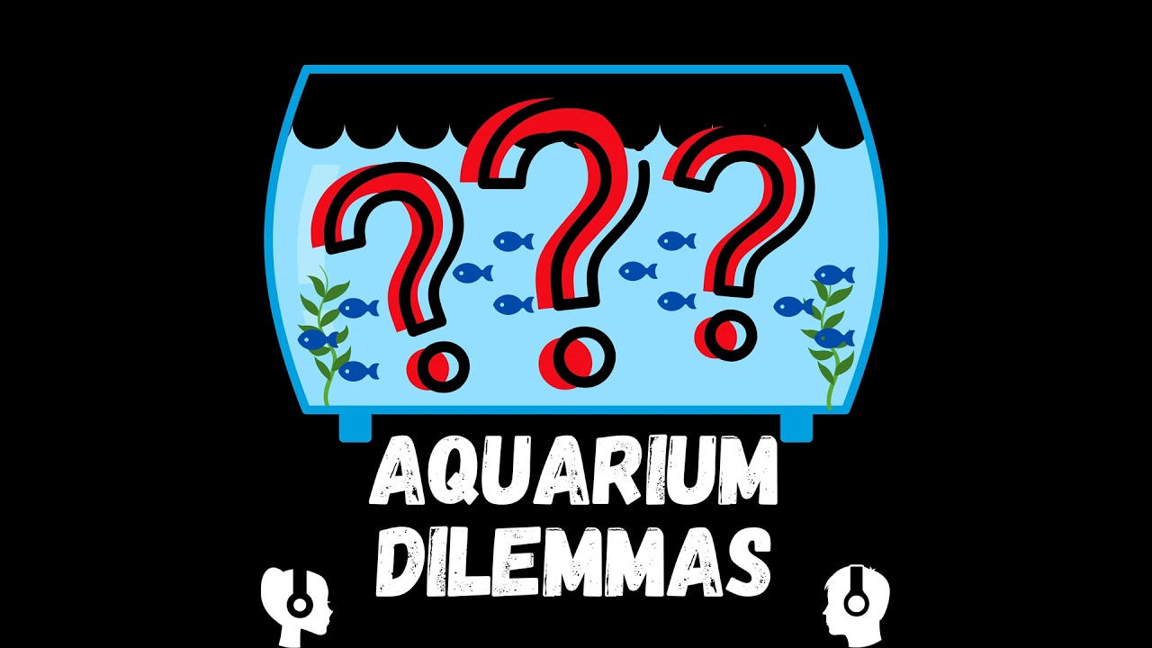 Freshwater Aquarium Fish Temperament v. Ease of Care